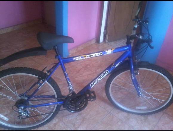 Bicicleta Blue Bird Mtb26 Rin 26 en Libertador (Municipio)