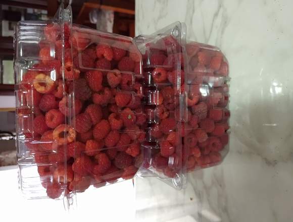 Frambuesa orgánica por kilo