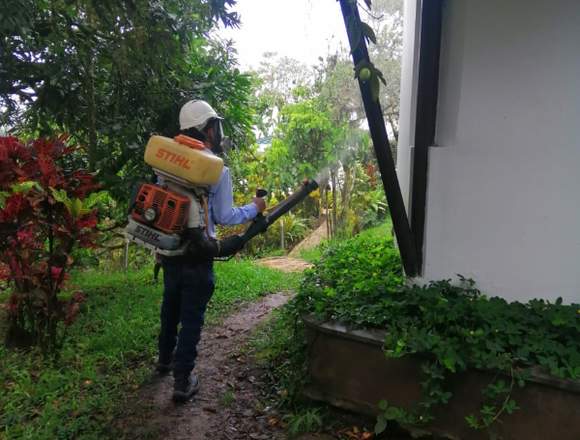 SERVICIO DE FUMIGACIÓN PARA EL CONTROL DE PLAGAS en Puerto Santander (Municipio)