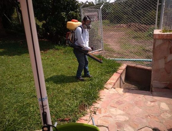 DESINSECTACIONES CONTROL DE PLAGAS en Puerto Santander (Municipio)