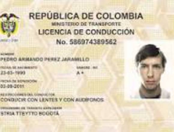Licencias para conducir