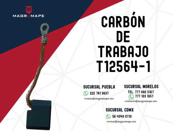 CARBÓN DE TRABAJO T12564-1 en Cuernavaca (Municipio)