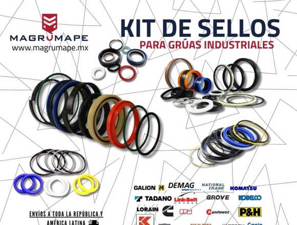 KIT DE SELLOS PARA GRÚAS INDUSTRIALES
