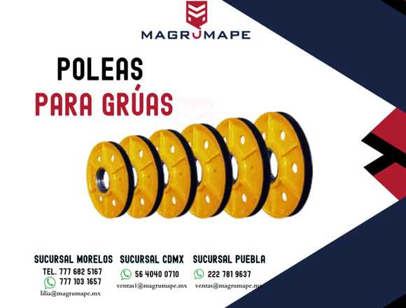 POLEAS PARA GRÚAS INDUSTRIALES en Puebla (Municipio)