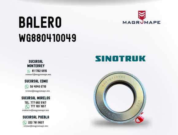 BALERO - WG880410049 - SINOTRUK en Puebla (Municipio)
