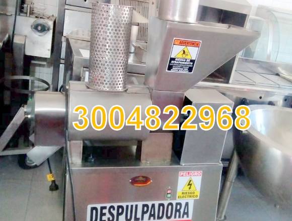 DESPULPADORA DE FRUTAS. MANGO, SABILA, LULO en Bucaramanga (Municipio)