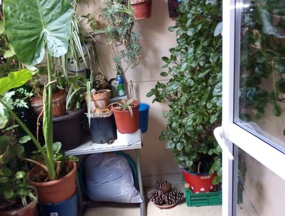 Hermosa casa en venta en Jaraíz de la Vera (Municipio)