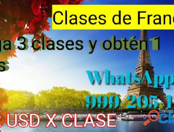 Clases de idiomas online en Kanasín (Municipio)