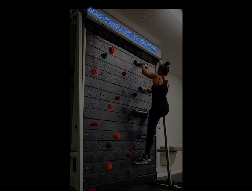 MURO DE ESCALAR SIN FIN MECANICO