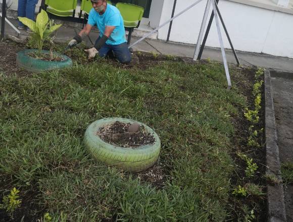 SERVICIO DE JARDINERIA en Pereira (Municipio)