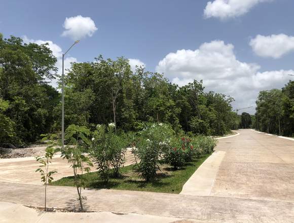 Lotes Residencial Playa Del Carmen Ciudad Mayakoba