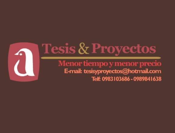 Servicio de realización Tesis y Proyectos en Latacunga (Cantón)