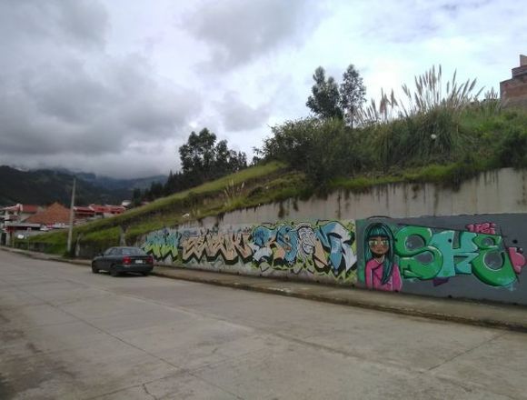VENDO TERRENO 615m2 EN AV.CAMINO VIEJO A BAÑOS en Loja (Cantón)