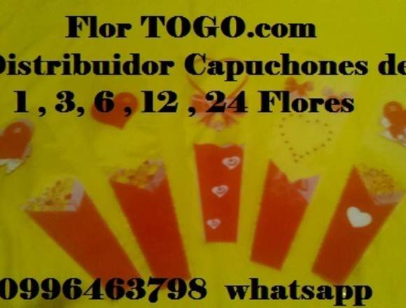 Fundas De Flor,capuchones Para Flores De Celofan en Pichincha (Cantón)