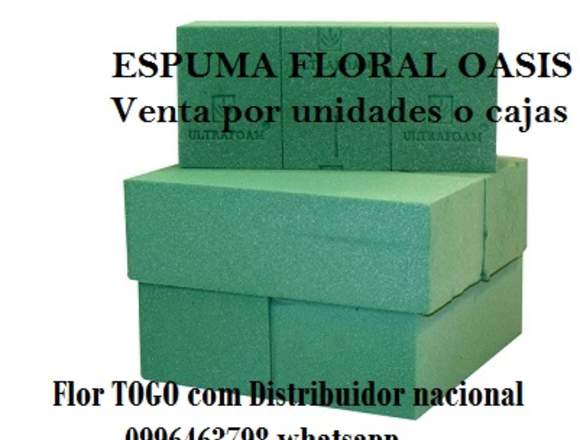 Distribuidor De Espuma Floral Por Caja Y Unidades en Pichincha (Cantón)