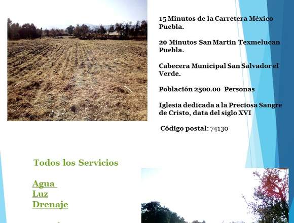 3 Terrenos en Venta