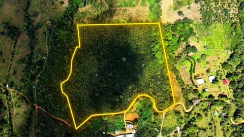 VENTA DE FINCA AGRICOLA DE 6,74 HA CON PALMA AFRICANA EN SAN PEDRO, PE