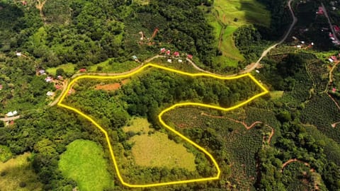 VENTA DE FINCA DE 8.1 HA CON DOS CASAS Y FRENTE DE RIO EN LAS MESAS en Pérez Zeledón (Cantón)