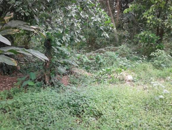 Venta de finca en San Miguel, Via Volcán en Bugaba (Distrito)