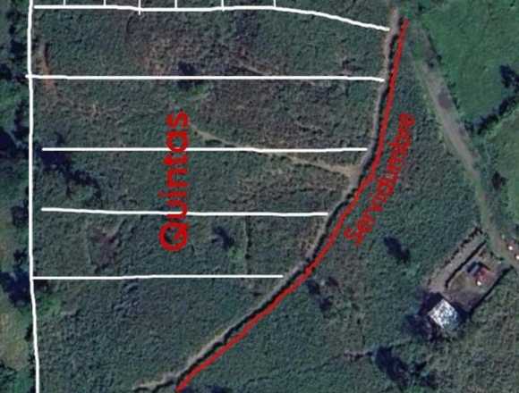 ❗Pavones: Escapa del Estrés , Encuentra la paz ❗