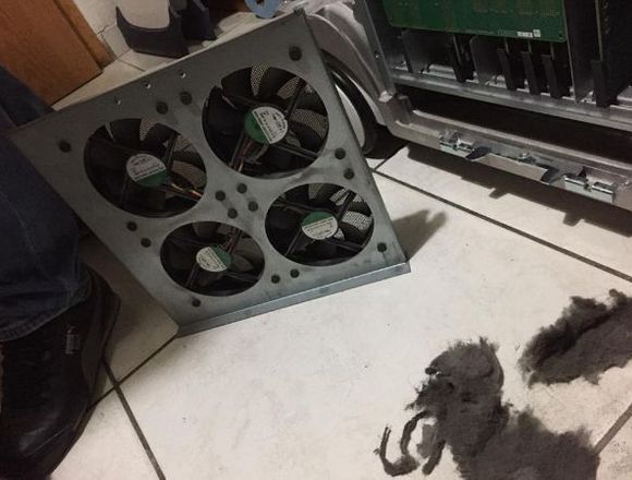 Servicios Preventivos y reparación de Ultrasonidos en Ojuelos de Jalisco (Municipio)