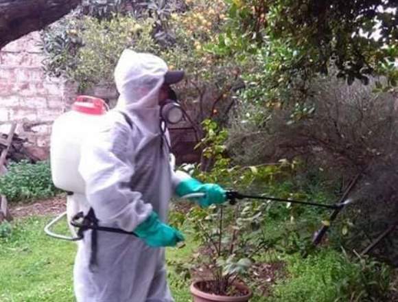 Fumigaciones y Control de Plagas en Santiago (Comuna)