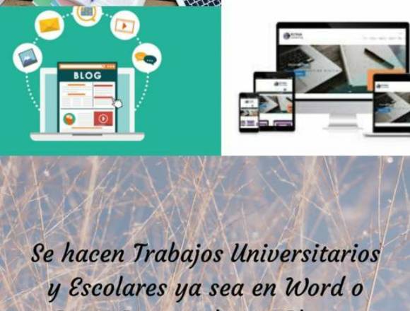 Hago trabajos de la U y Colegio también materias en Chitré (Distrito)