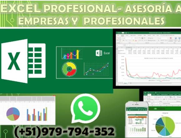 Asesoría en excel avanzado para empresas en Coyoacán (Municipio)