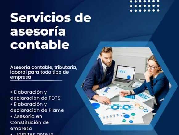 Contador Público Colegiado en Santiago de Surco (Lima 33) (Distrito)