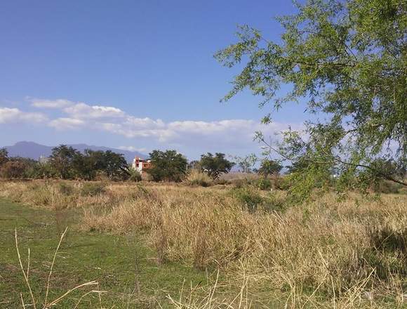 lote DE REMATE por la Anahuac y fraccto. en Cuilápam de Guerrero (Municipio)
