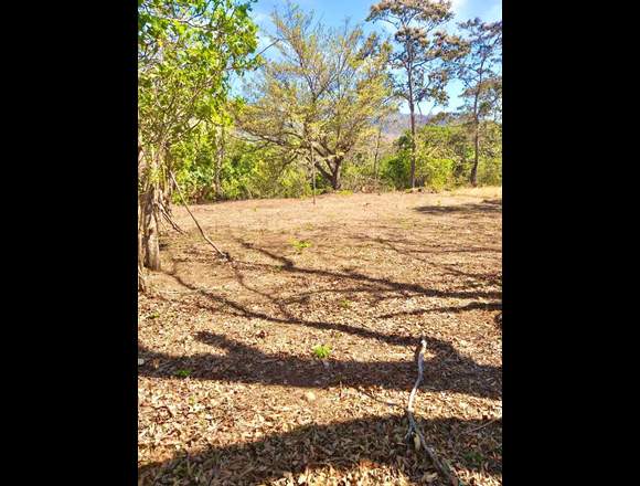 V#81 Venta de Terreno en Atenas