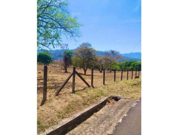 V#118 Venta de Terreno para Inversión en Atenas en Atenas (Cantón)