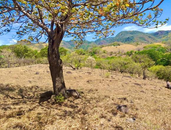 V#117 Venta de Terreno en Atenas para inversión en Atenas (Cantón)