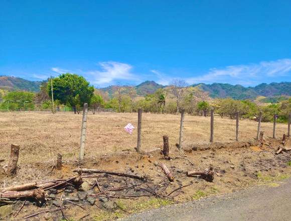 V#118 Venta de Terreno para Inversión en Atenas