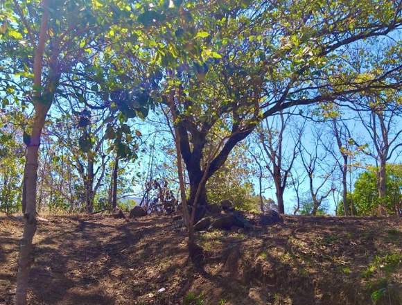 V#81 Venta de Terreno en Atenas en Atenas (Cantón)