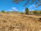 V#117 Venta de Terreno en Atenas para inversión