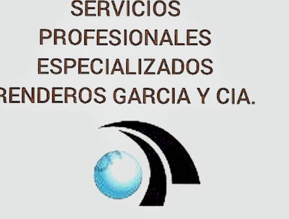 Servicios Profesionales Especializados en Santa Tecla (Municipio)