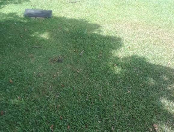 PARCELA EN EL CEMENTERIO DEL ESTE, CARACAS en El Hatillo (Municipio)