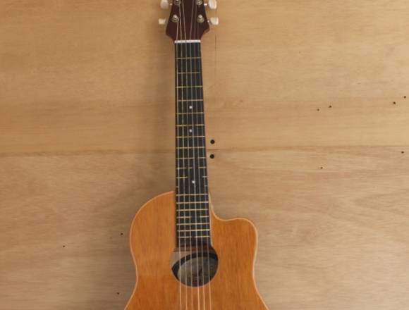 VENTA DE GUITARRAS A TODO EL PAÍS en Pensilvania (Municipio)