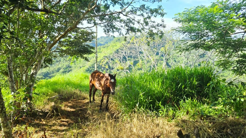 SE VENDE FINCA CON VISTAS PANORAMICAS E IDEAL PARA GLAMPING EN PEREZ