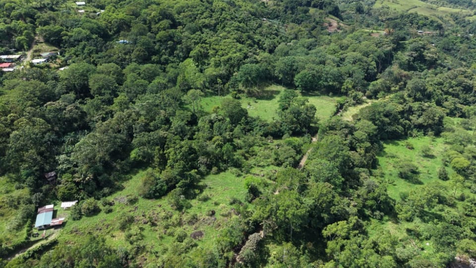 Finca con quebrada natural en San Francisco de Rivas en Pérez Zeledón (Cantón)
