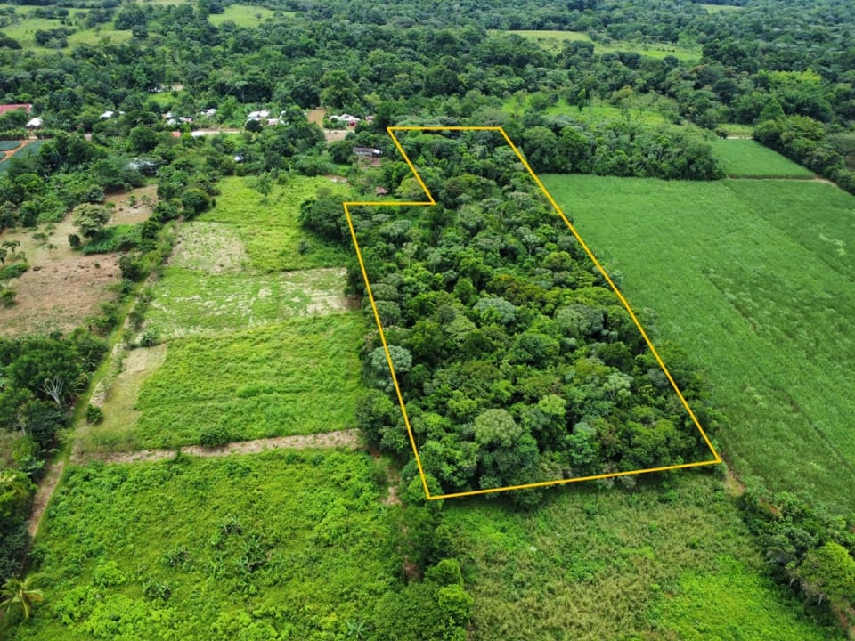 Terreno en venta con jungla nativa en Volcan