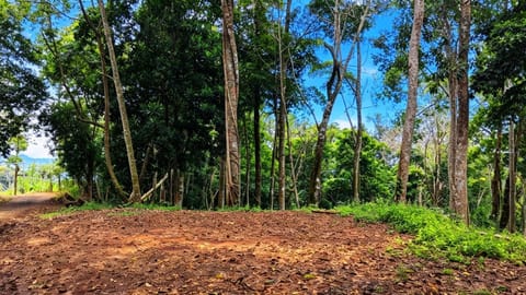 SE VENDE TERRENO LISTO PARA CONSTRUIR CON NACIENTE PROPIA Y CLIMA PERF