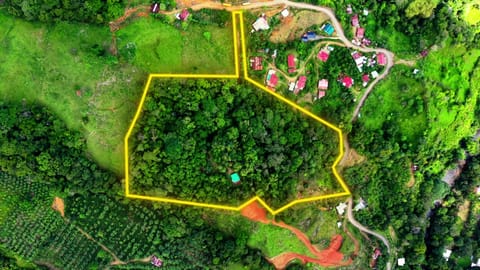 SE VENDE REFUGIO PRIVADO CON MAS DE 4 HECTAREAS DE BOSQUE PRIMARIO en Pérez Zeledón (Cantón)