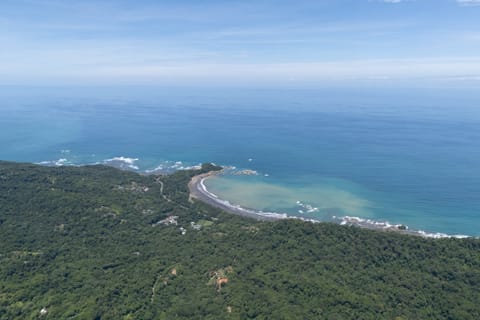 SE VENDE FINCA EN DOMINICAL CON VISTAS AL MAR Y NACIENTES DE AGUA EN 5 en Osa (Cantón)