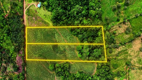 SE VENDE FINCA DE CAÑA CON VISTAS PANORAMICAS Y AGUA PROPIA en Pérez Zeledón (Cantón)