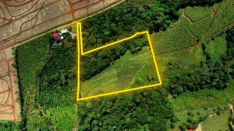 Finca plana con potencial agrícola en Pérez Zeledón en Pérez Zeledón (Cantón)