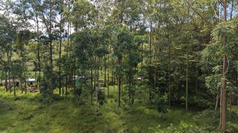 Terreno en San Francisco de Rivas, 22,334.94 m2 en Pérez Zeledón (Cantón)