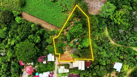 Terreno listo para construir con agua propia y excelente ubicación en Pérez Zeledón (Cantón)