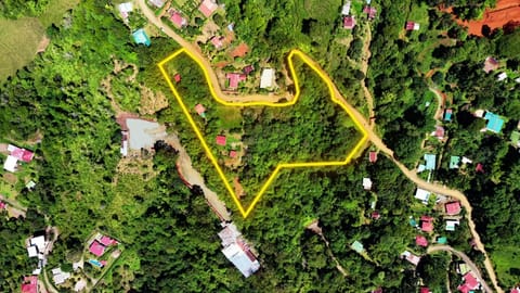 Finca con ingresos activos en Pérez Zeledón
